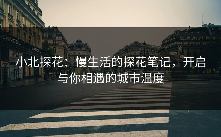 小北探花:慢生活的探花笔记,开启与你相遇的城市温度 小北探花:慢生活的探花笔记,开启与你相遇的城市温度