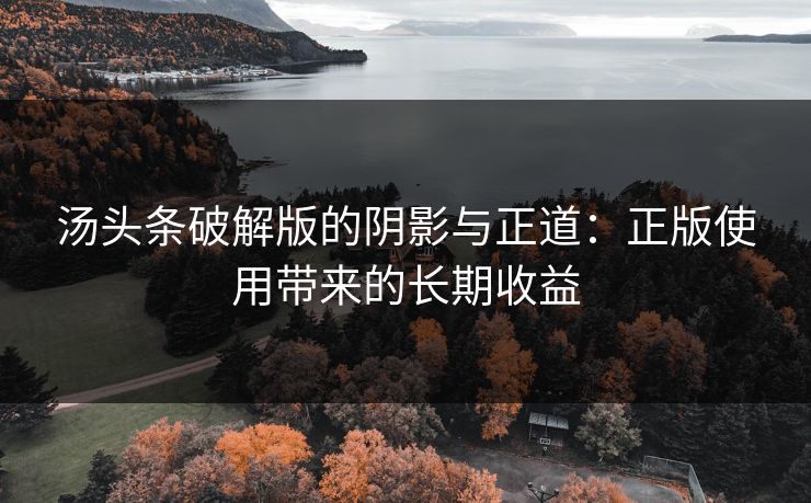 汤头条破解版的阴影与正道：正版使用带来的长期收益