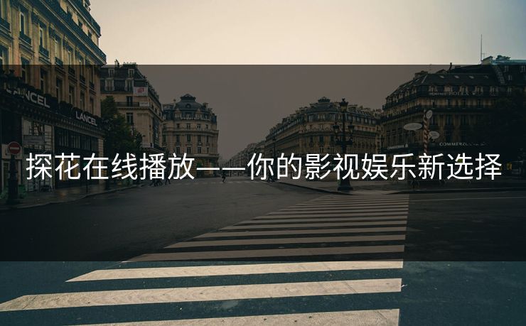 探花在线播放——你的影视娱乐新选择 探花在线播放——你的影视娱乐新选择