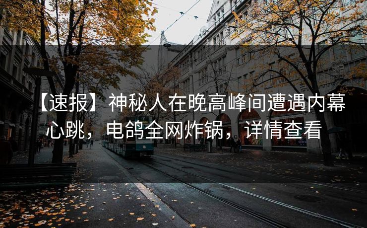 【速报】神秘人在晚高峰间遭遇内幕 心跳，电鸽全网炸锅，详情查看