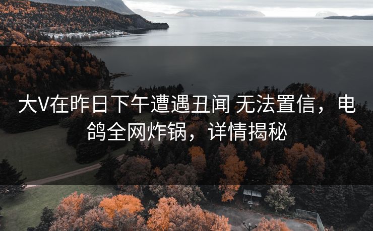 大V在昨日下午遭遇丑闻 无法置信，电鸽全网炸锅，详情揭秘