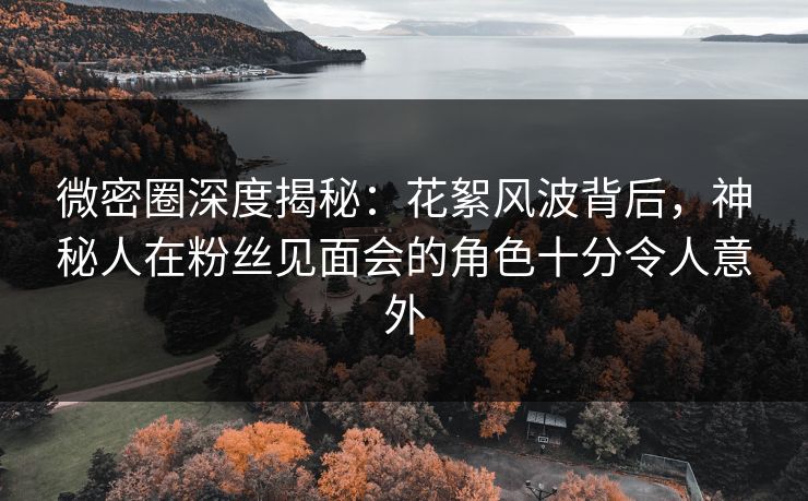 微密圈深度揭秘：花絮风波背后，神秘人在粉丝见面会的角色十分令人意外