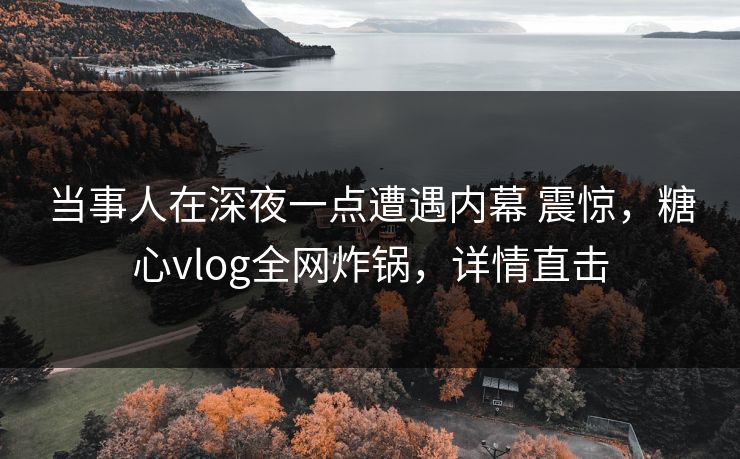 当事人在深夜一点遭遇内幕 震惊,糖心vlog全网炸锅,详情直击 当事人在深夜一点遭遇内幕 震惊,糖心vlog全网炸锅,详情直击